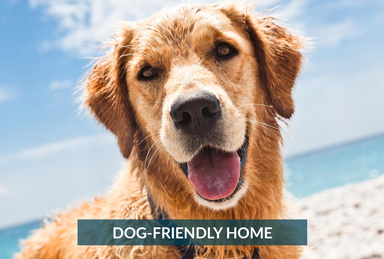 5508 Southern Comfort Dog Friendly Shared Pool 斩魔山 外观 照片